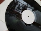 Five Finger Death Punch : American Capitalist VINYL  TEST Pressing White Label