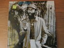 REGGAE LP. DOING IT RIGHT / DESI ROOTS
