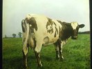 LP Pink Floyd - Atom Heart Mother, Ger