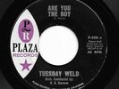 Northern Soul 45 TUESDAY WELD Are You The Boy/All Through Spring & Summer HEAR