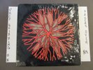 THE WIPERS THE CIRCLE ORIGINAL ISSUE LP IN SHRINK 72339-1