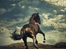 BRUCE SPRINGSTEEN, WESTERN STARS, NEW ALBUM, COLOUR VINYL, 2LP, JAPAN, 2019