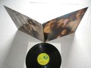 The Edgar Broughton Band - Wasa Wasa,plays MINT, MINT VINYL  GER 1969 1ST PRESS