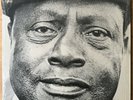 BUKKA WHITE Parchman Farm JAPAN LP W/OBI IN SHRINK
