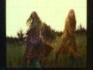 FIRST AID KIT: LIONS ROAR [LP vinyl]