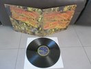 AC DC T.N.T. TNT LP Albert Productions APLPA 016 Australia 1975 Label blau gelb