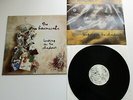 The Raincoats - Looking In The Shadows UK 1996 Rough Trade LP with Inner Sleeve
