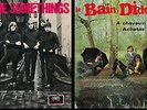 BAIN DIDONC / SOMETHINGS  French Rock / beat / Garage / Fuzz  1966 CAMELEON