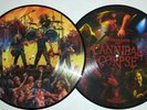 CANNIBAL CORPSE Torturing & Eviscerating PICTURE DISC