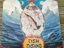 Steve Hillage, Fish Rising vinyl LP,