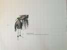 Freq Nasty Featuring Rodney P ?– Come Let Me Know Vinyl 12