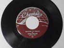 LITTLE WALTER Blues With A Feeling/ Quarter To Twelve 45 Checker 780 Blues HEAR