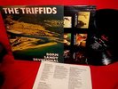 The Triffids Born Sandy Devotional LP 1985 UK Mint- First Pressing Promo