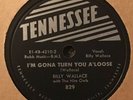 Billy Wallace I’m Gona Turn You A Loose Southwind RARE Tennessee C&W Hillbilly