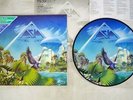 ASIA ALPHA GEFFEN 30AP 2699 Japan Picture Vinyl VINYL LP