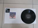 TALK TALK - LAUGHING STOCK - LP VINYL - USED - GOOD CONDITION