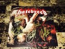 Hatebreed Signed The Divinity Of Purpose Vinyl LP Record Jamey Jasta Heavy Metal