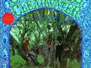 Creedence Clearwater Revival (LP) - Vinyl LP Concord Records NEW