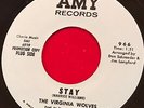 THE VIRGINIA WOLVES Stay - USA 7