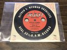 A Mad Record It's A Gas  Vocal by Alred E. Neuman Vinyl Record Mini