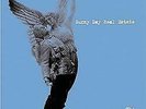 New Music Sunny Day Real Estate 