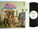 ROCK LP - THE FLYING BURRITO BROS - THE GILDED PALACE OF SIN A&M SP 4175 VG+