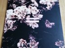 Gemma Hayes - Night On My Side - 2002 Source LP
