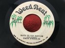 FAITH D ANGUILAR / ROCK TO THE RHYTHM ROOTS REGGAE KILLER 45