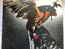 BUDGIE   IN FOR THE  KILL   ,  LP  , 1974  MCA RCORDS ,  NEAR MINT