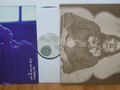 2x IAN MATTHEWS LP Tigers will Survive + If you saw this ... USA SWIRL Vertigo