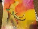 The Breeders - Pod [New Vinyl LP]