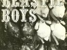 SOLO RARISSIMI   Beastie Boys ?– Polly Wog Stew EP