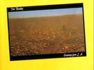 Tim Buckley - Greetings From L.A. Vinyl LP