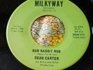 Wild Unhinged Illinois Garage Slammer 45 Dean Carter Run Rabbit Run NM HEAR