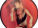 Iron Maiden's-Bruce Dickinson-Picture Disc-LP-Vinyl-cleaned