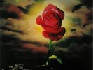 Journey - Kingdom Come Limited Edition Vinyl LP SWFLP33