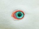 MOON GOOSE - Source Code - 2 LP (clear) + CD Fruits De Mer
