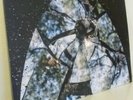 Friendly Fires By Friendly Fires (LP, 2008, XL Recordings)