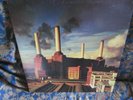 Pink Floyd,