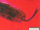 Alice Cooper - Killer Vinyl Record/LP *NEW*