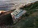 FIDLAR - Almost Free [New Vinyl LP] Digital Download