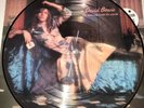 DAVID BOWIE, THE MAN WHO SOLD THE WORLD, LIMITED ED. 180G VINYL PICTURE DISC LP