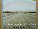 VINCENT GALLO - When - Rare Vinyl - 2001 Warp Records UK LP Clothbound Hardcover