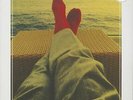 Delbert McClinton - Prick Of The Litter (LP, 180g Vinyl ) - Vinyl Blues