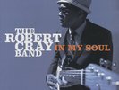 Robert Cray - In My Soul - Vinyl Blues