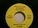 Rare Garage Psych THE INSANE Allen Associates 1967 Connecticut 45rpm VG punk 45