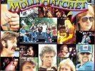 Molly Hatchet - Double Trouble Live (2xLP, Album) Vinyl Schallplatte -
