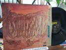 SAVOY BROWN LP  Blue Matter PAS 71027 MINT/MINT GATEFOLD