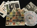 Pearl Jam Signed, No Code LP, CD, 1996, Alt Rock, GF Autographed/ Vedder RARE