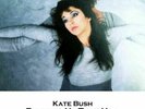 KATE BUSH RUNNING UP THAT HILL UNDER THE IVY RARE 45TRS SINGLE HOUNDS OF LOVE